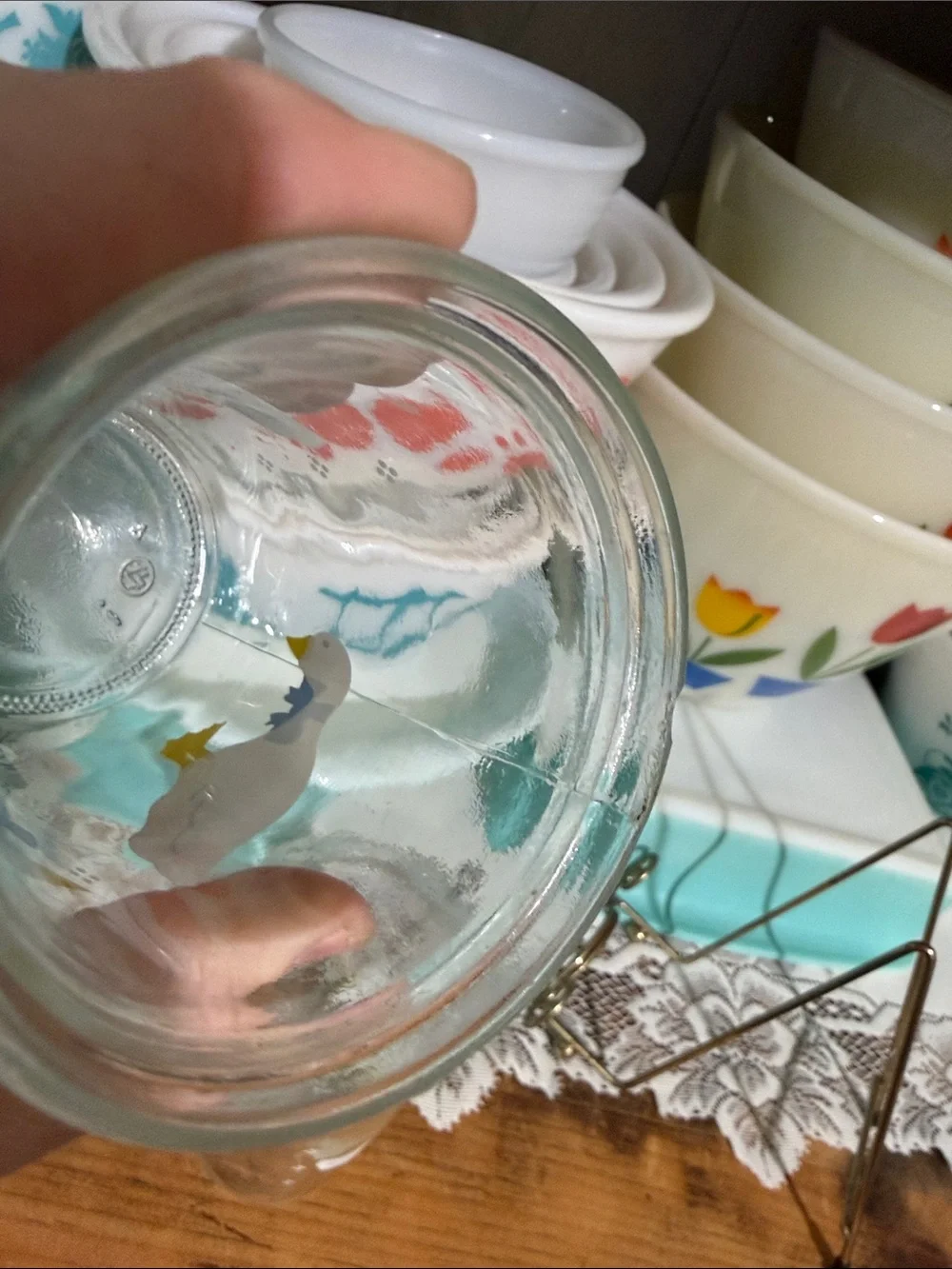 Vintage duck goose bama jars juice cottagecore